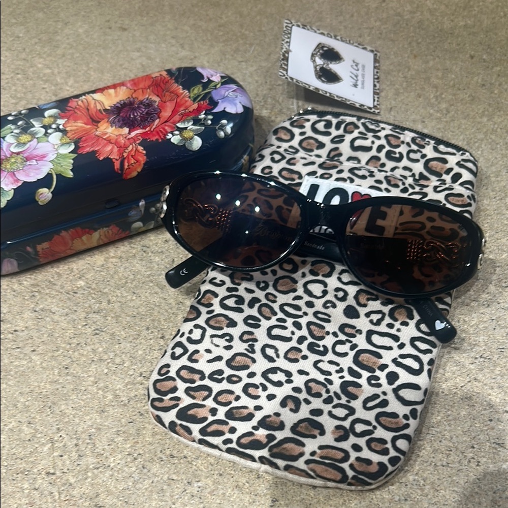 Brighton Black Sunglasses with Protective Case